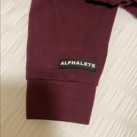 Alphalete Identity Joggers - Picture 4 of 4